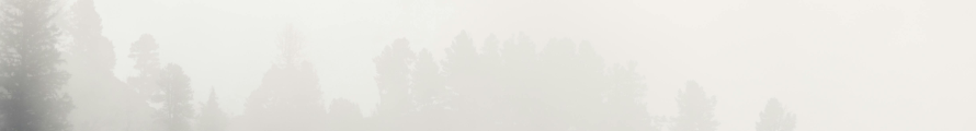 CAFE345 Logo